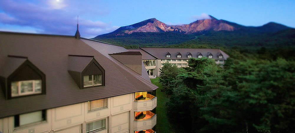 代替jpg画像の表示