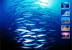 フラッシュ練習１